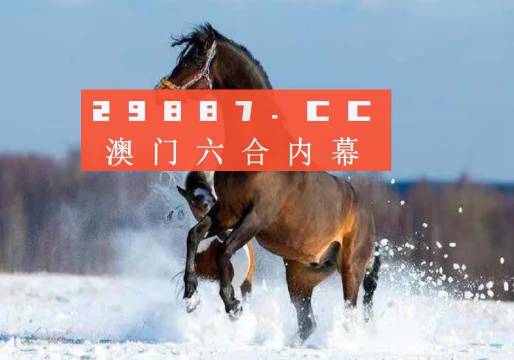 新澳门一肖一码中恃,实践案例解析说明_C版48.605