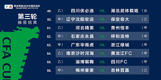 2024新澳三期必出一肖,准确资料解释落实_顶级版17.753