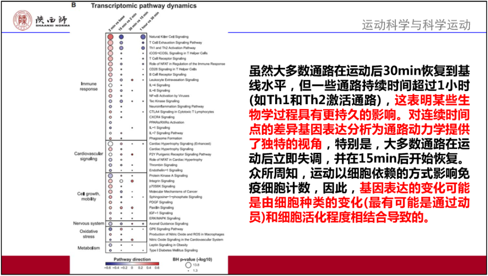 新澳门天天开奖结果,效率资料解释落实_运动版93.512