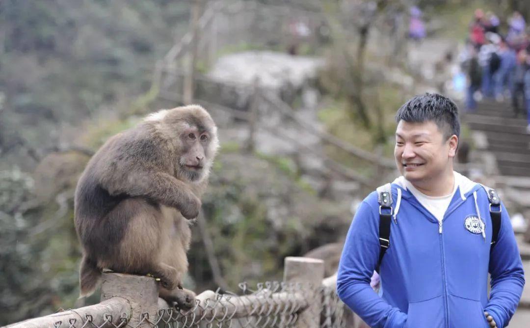 峨眉山旅游胜地探寻人才，最新招聘启事开启新篇章